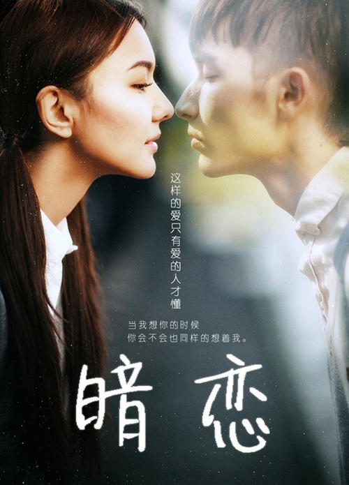 Superior公共管理文凭证书